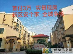 首付3萬，新區(qū)安個家